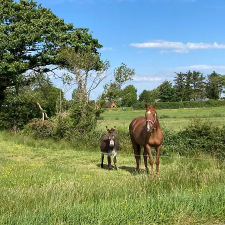Luxury tent Farmyard Lane Glamping Killarney