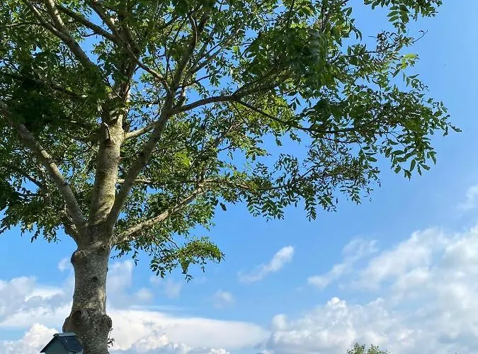 Farmyard Lane Glamping 基拉尼